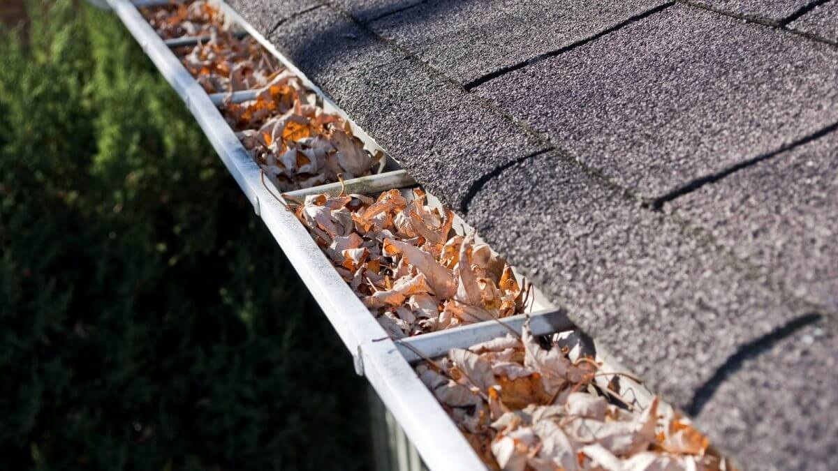 Why has gutter cleaning become a necessity?