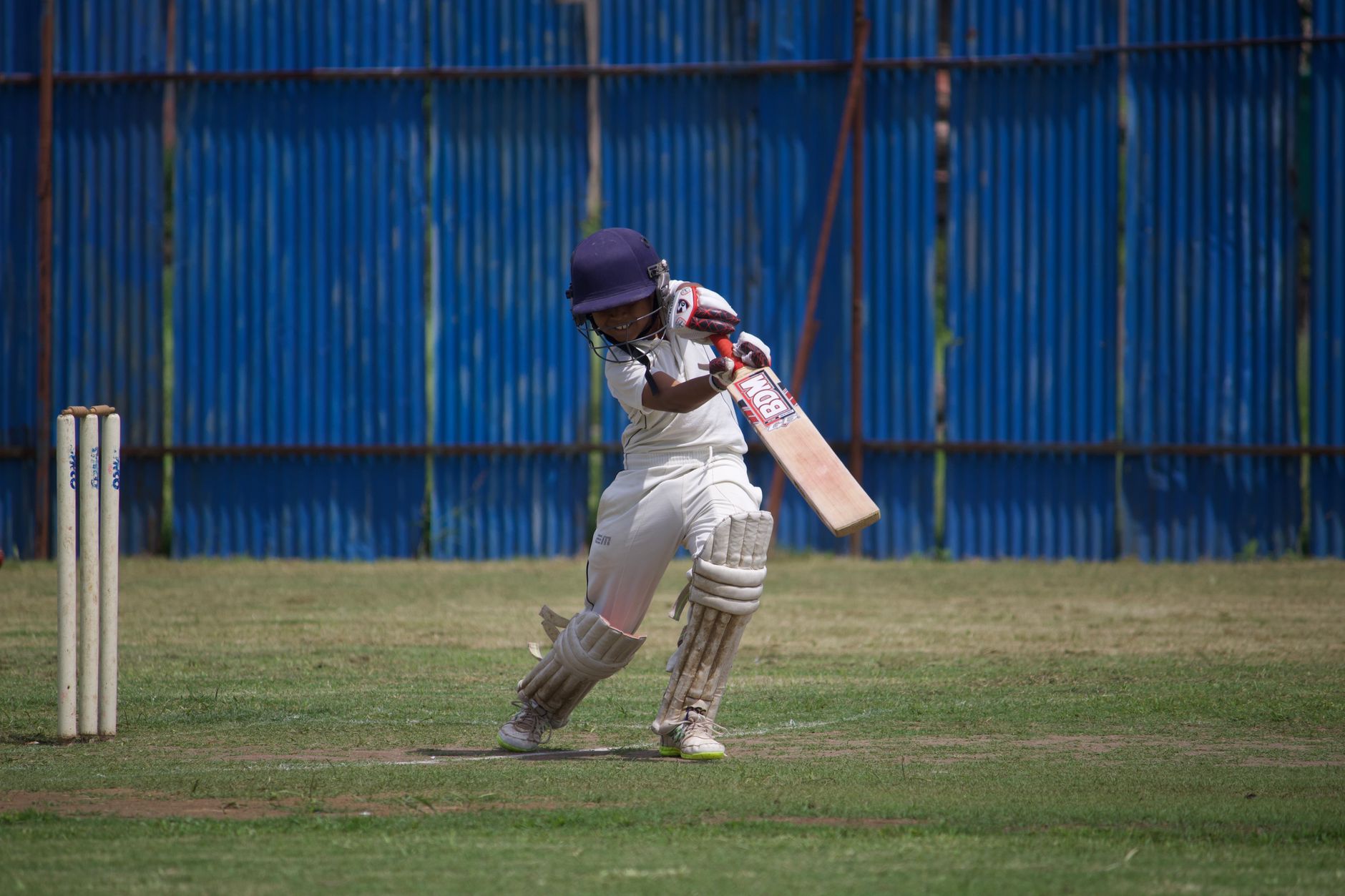Is Don Bradman Cricket Jr the Best New Switch Game?