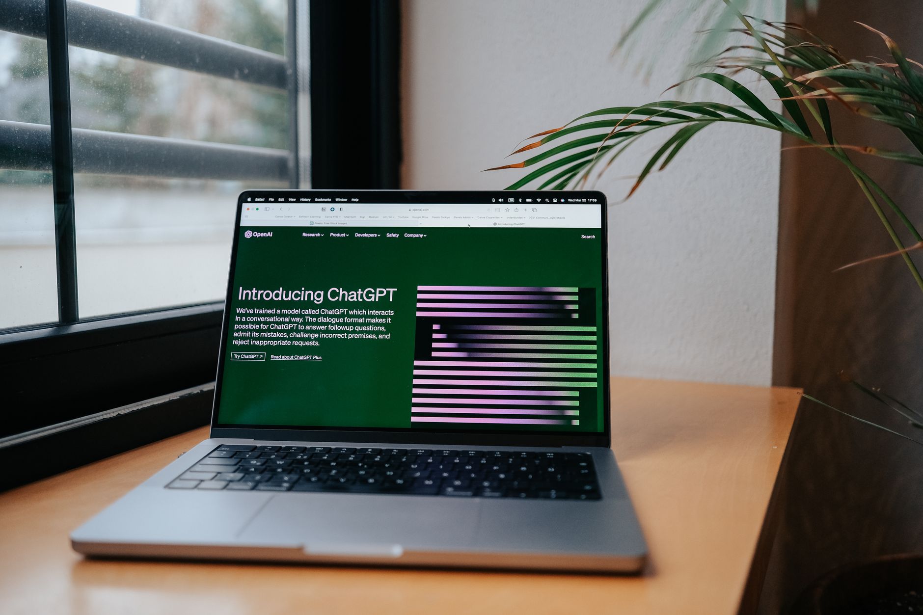 Windows 11 Remote Desktop: Is It the Worst Update Ever?
